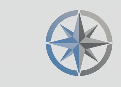 Multinational Insurance Firm
